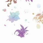 失婚  第14章 – 半夏小說