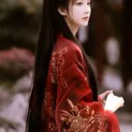 Глава 27: Ясность Женщина в традиционном китайском платье на улице