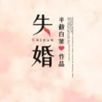 Обложка романа Shihun на сайте noveltranslate.online