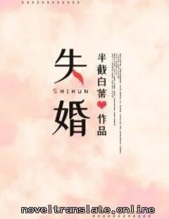 Развод Обложка романа Shihun на сайте noveltranslate.online