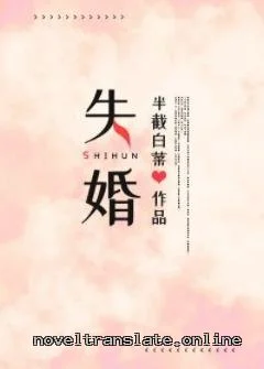 Обложка романа Shihun на сайте noveltranslate.online